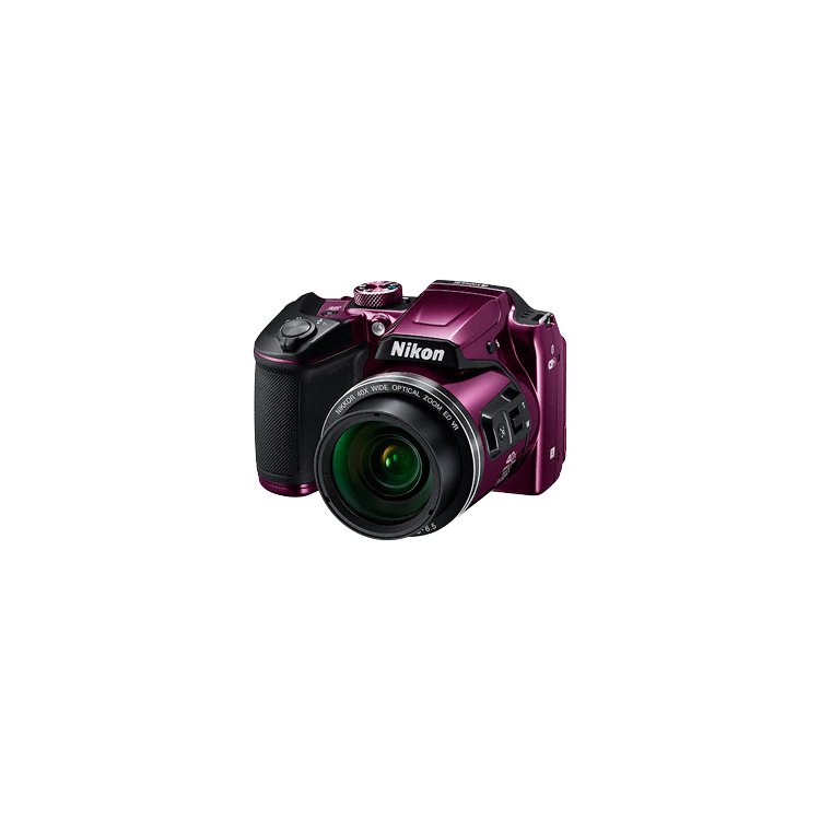Фотоаппарат Nikon Coolpix B500 Фотографии