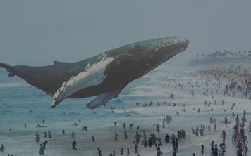 На новом сайте Magic Leap есть несколько забавных пасхалок
