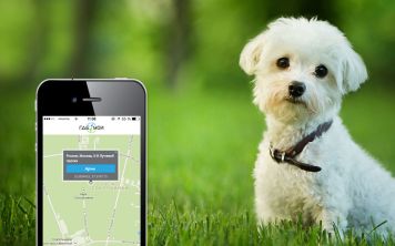 Samsung Connect Tag: найду всё!