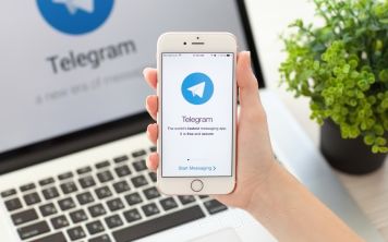 На что подписаться в Telegram? 