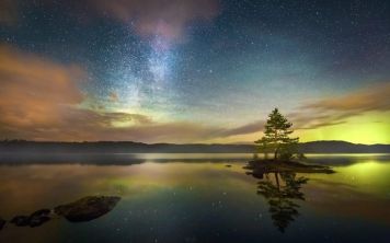 Как найти картинку в интернете по картинке?