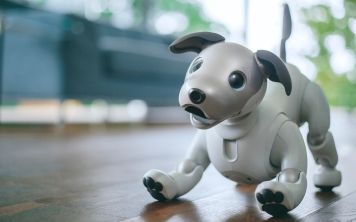 Робот-собака Aibo возвращается