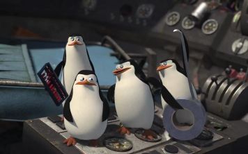 Крякнем, плюнем и надежно склеим хирургическим клеем