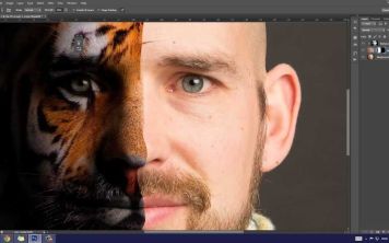 Как установить шрифт в фотошоп?