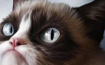 10 привычек, которые заставляют всех в Интернете ненавидеть вас