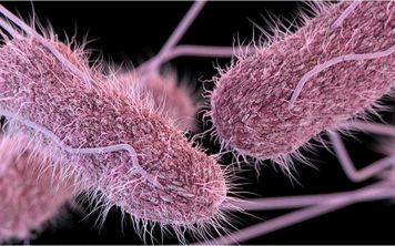 Нано-роботы из биологического материала 