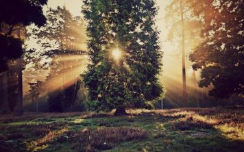 Не только создать продукт, но и позаботиться об окружающей среде