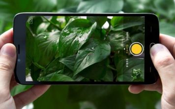 Doogee анонсировала бюджетник с двойной камерой и Android 7.0 на борту
