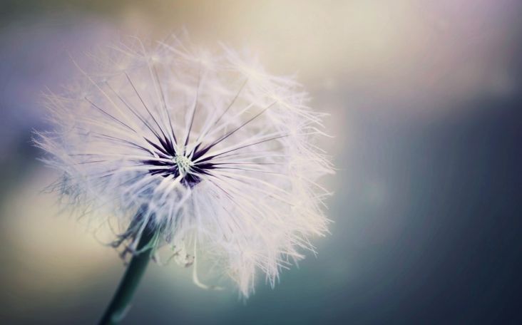 Какой самый легкий антивирус? - Байон