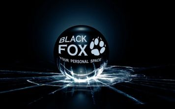 Black Fox BMM 532S: функциональный, компактный, бюджетный