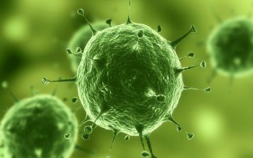 Как почистить телефон от вирусов?