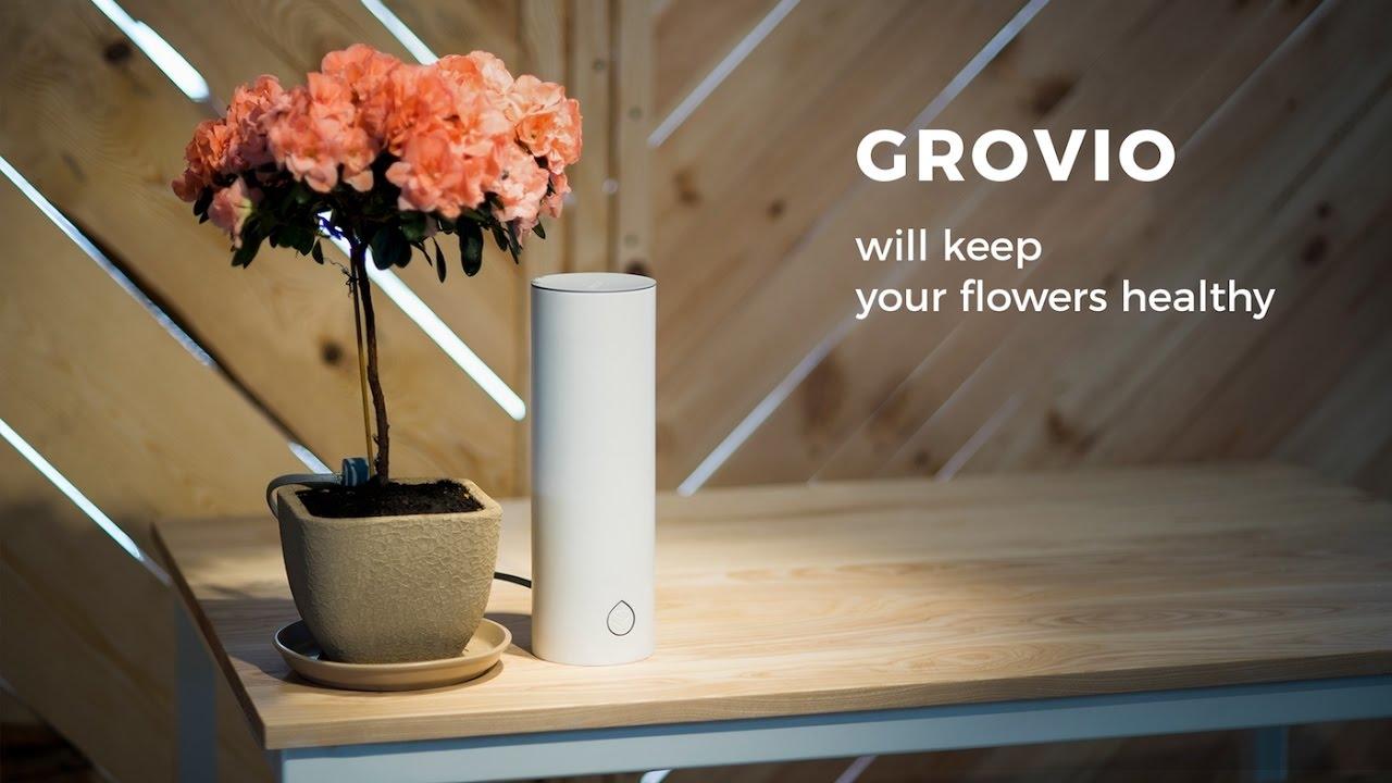Grovio – новый стартап, который сам ухаживает за вашими домашними растениями