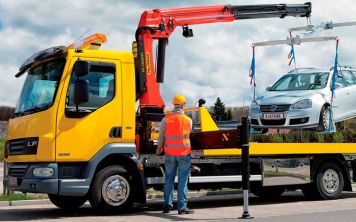 Crocodie спешит на помощь