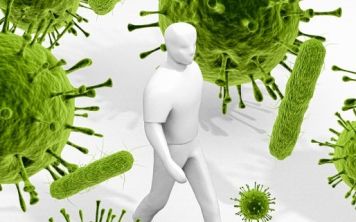 У микробов может быть собственная версия Интернета