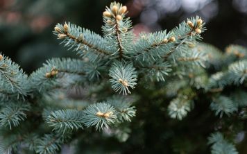 Тестирования беспилотного автомобиля от Яндекс