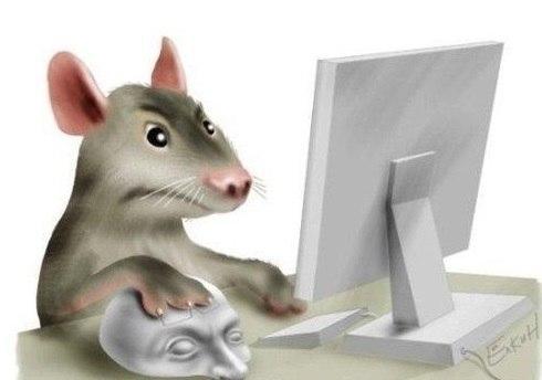 Почему не работает мышка на компьютере: возможные причины