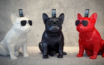 Уникальное звучание или обычный пафос с новым Jarre AeroBull XS1