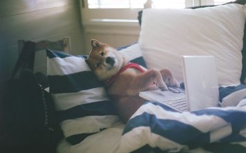 Появился новый опасный вирус на Mac