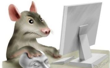 Что делать если не работает мышка?
