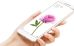 Смартфоны Xiaomi получат OLED‑экраны Samsung