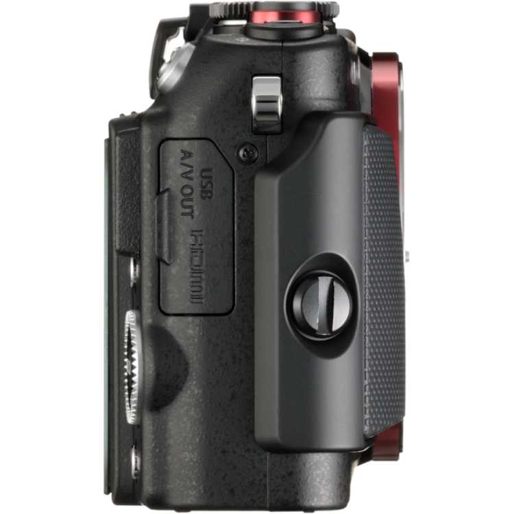 Olympus e pl6 примеры фото
