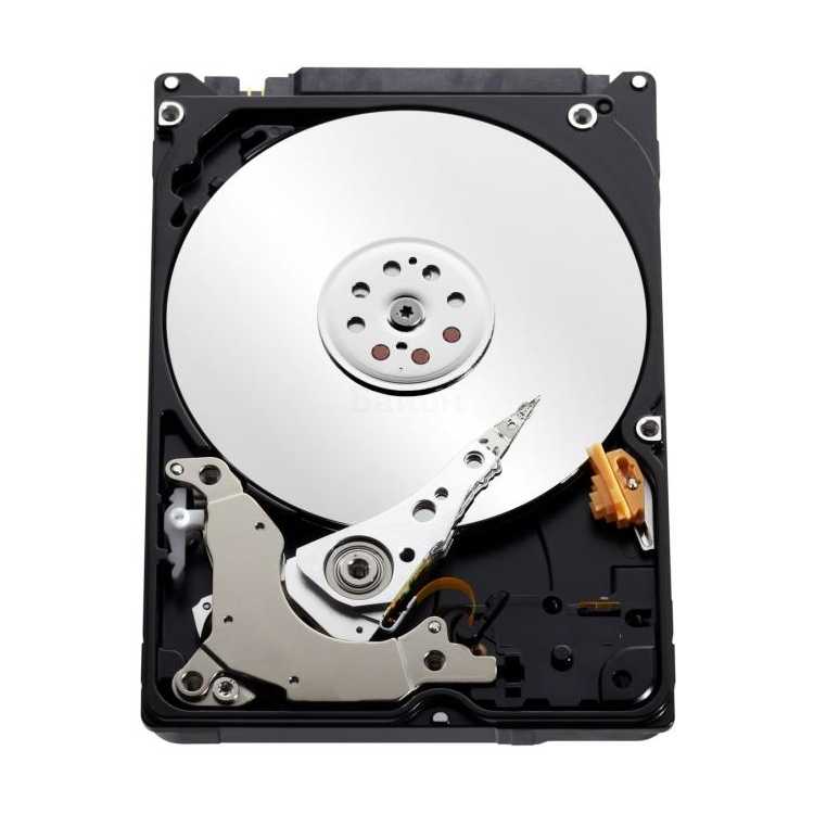 Western Digital Blue Mobile 500Гб