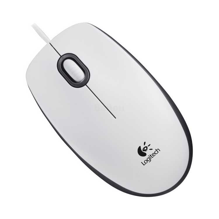 Logitech B100