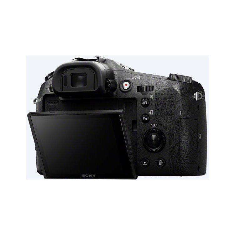 Sony Cyber-shot DSC-RX10