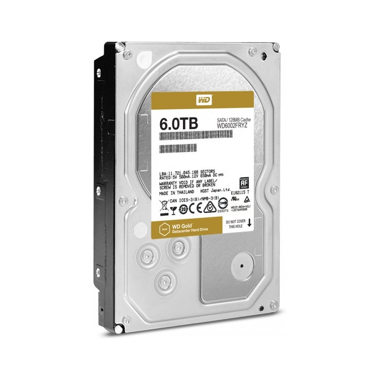 Western Digital Gold WD6002FRYZ